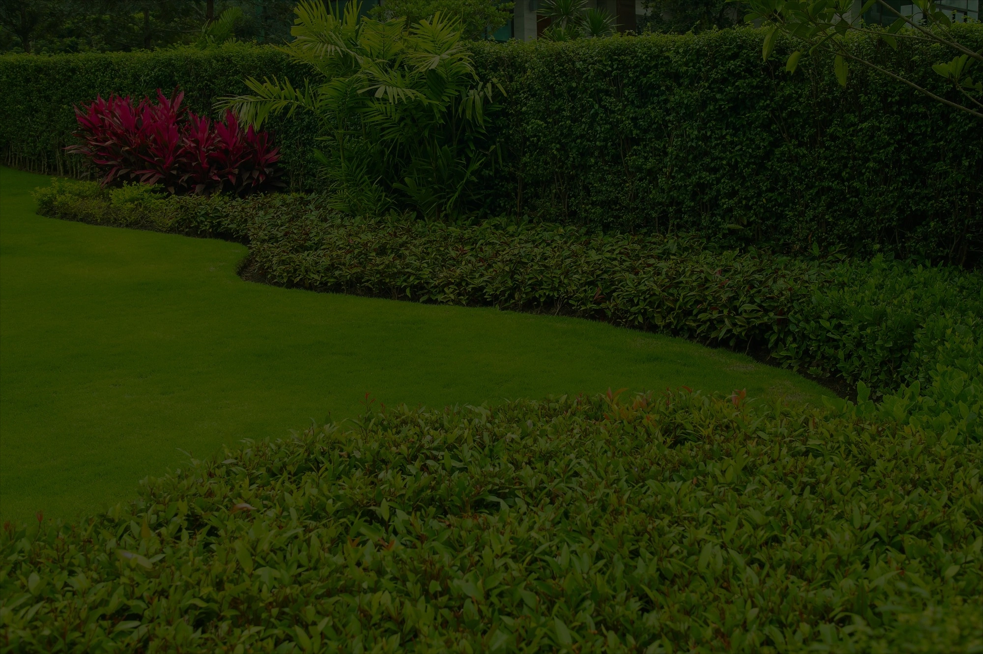 lawn care and maintenance service background image in Dallas