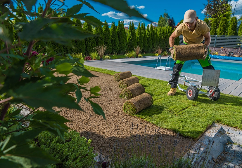 Garden installation with stone border and plant arrangement in a Dallas backyard