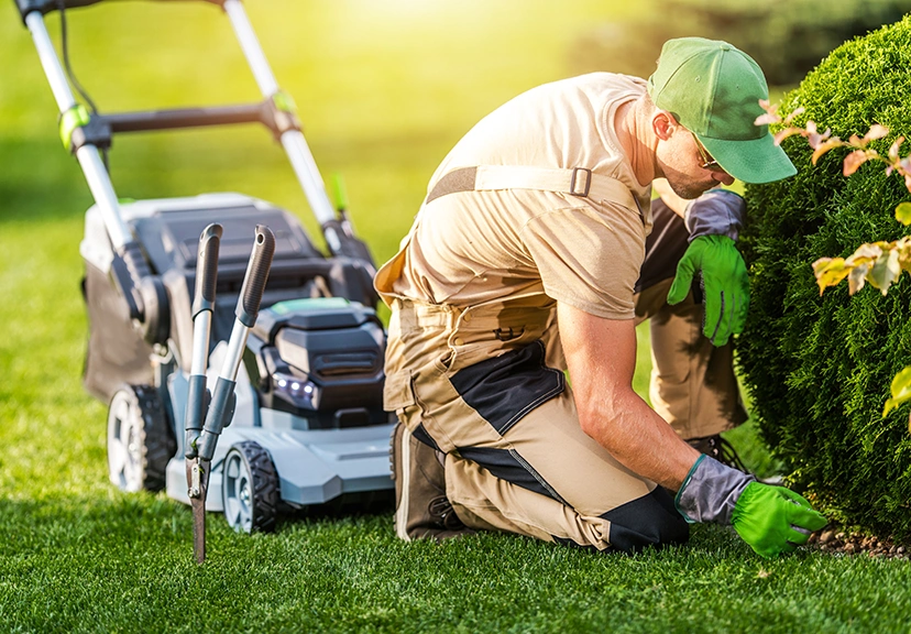 lawn care specialist mowing residential lawn in Dallas