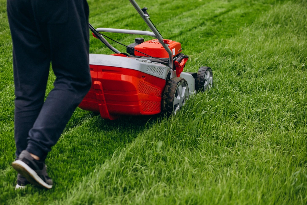 eco-friendly lawn maintenance using modern equipment in Dallas